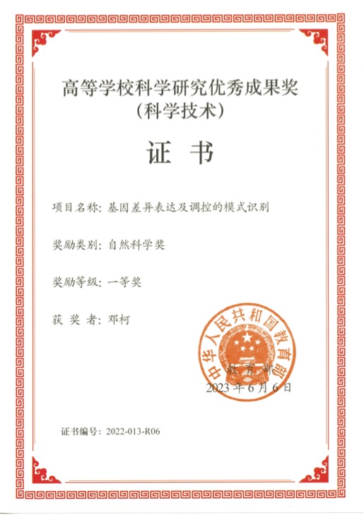麻豆传媒a片