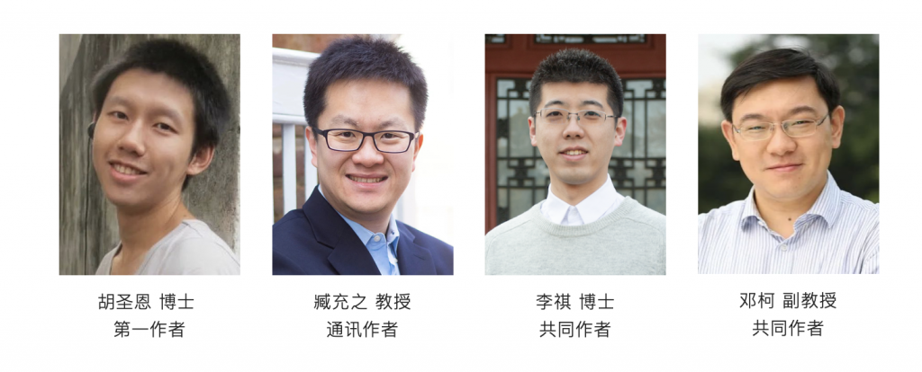 麻豆传媒a片
