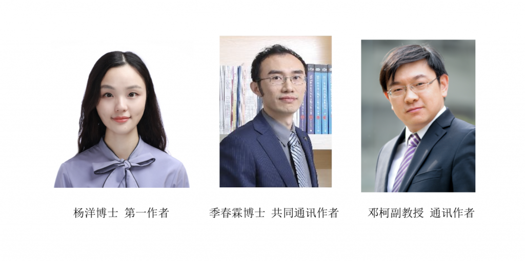 麻豆传媒a片